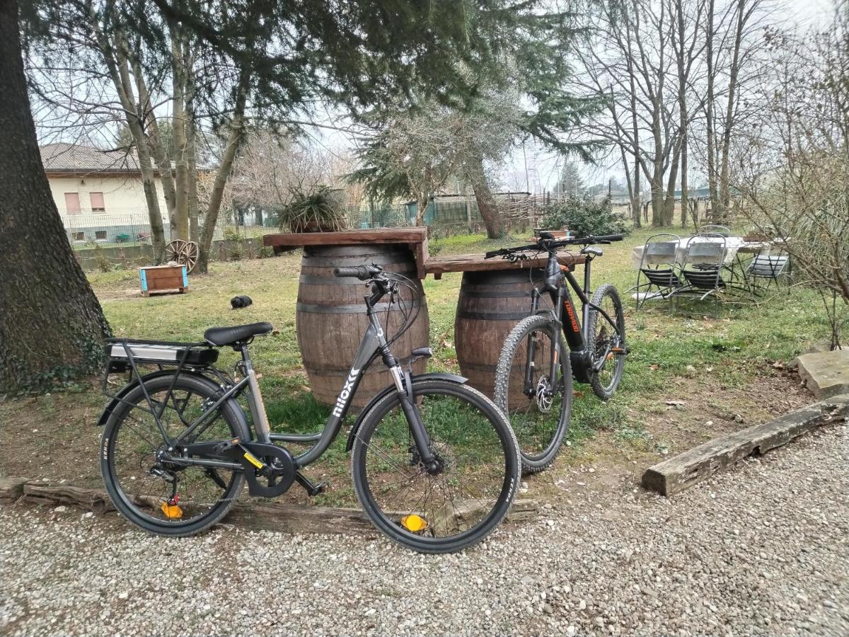 Agriturismo Le Oche Selvatiche Lauzacco Экстерьер фото