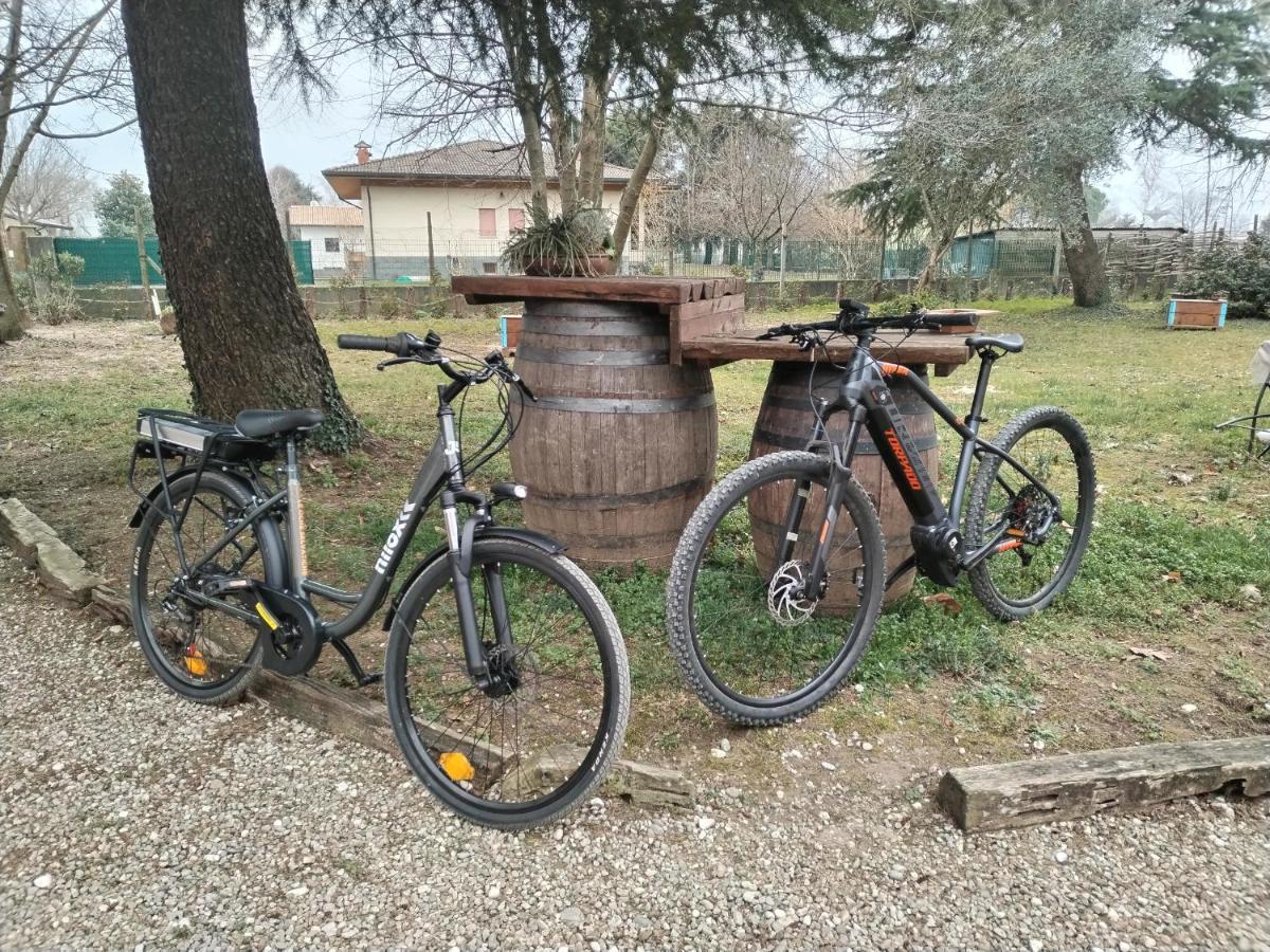 Agriturismo Le Oche Selvatiche Lauzacco Экстерьер фото