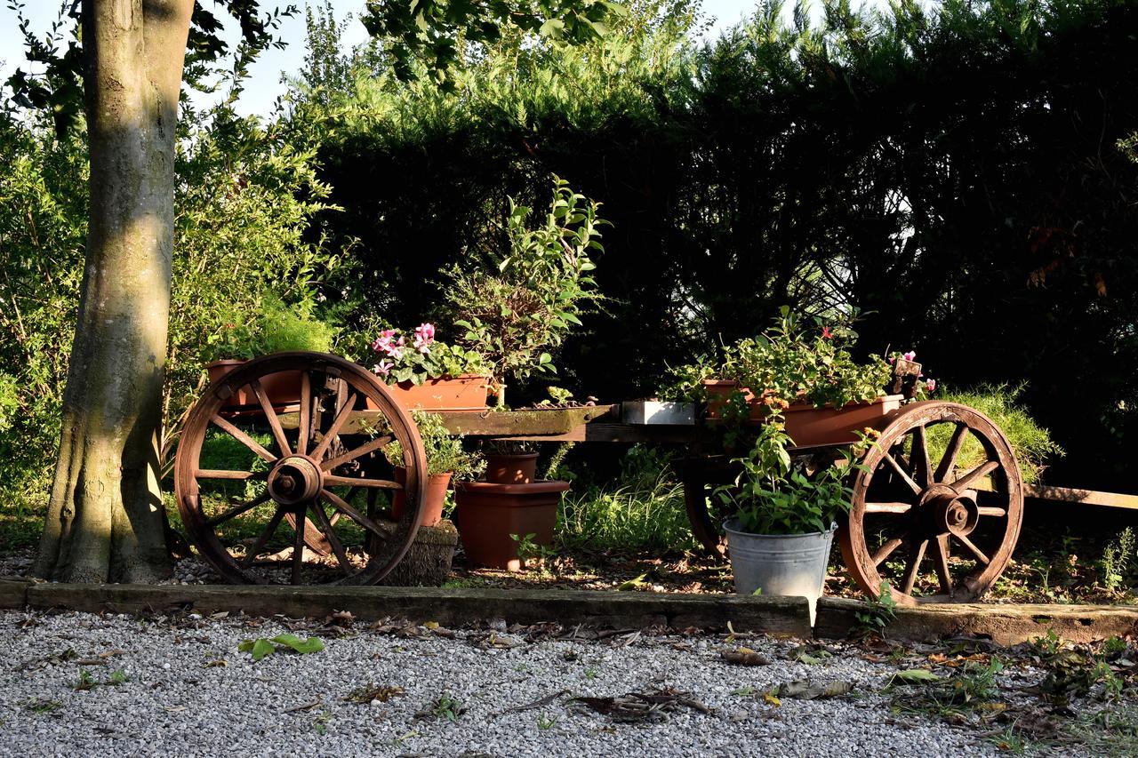 Agriturismo Le Oche Selvatiche Lauzacco Экстерьер фото