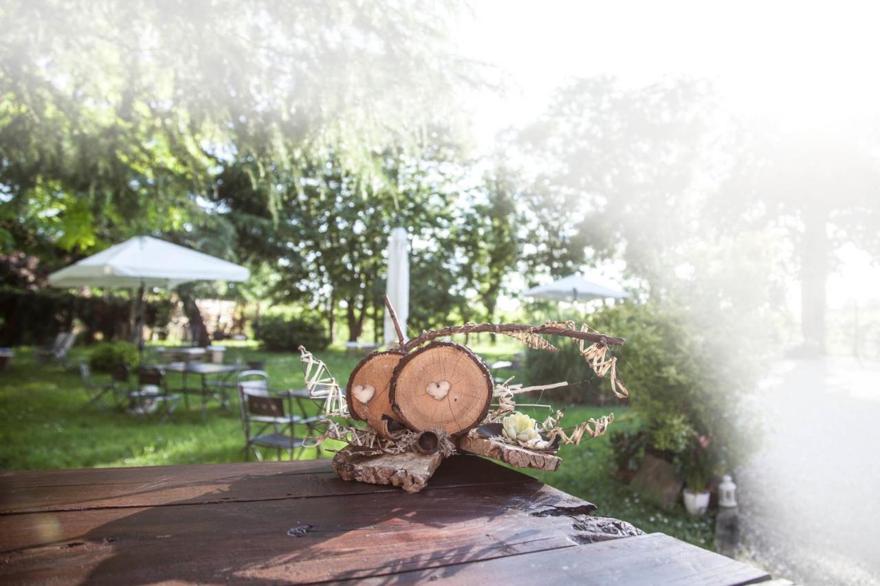 Agriturismo Le Oche Selvatiche Lauzacco Экстерьер фото