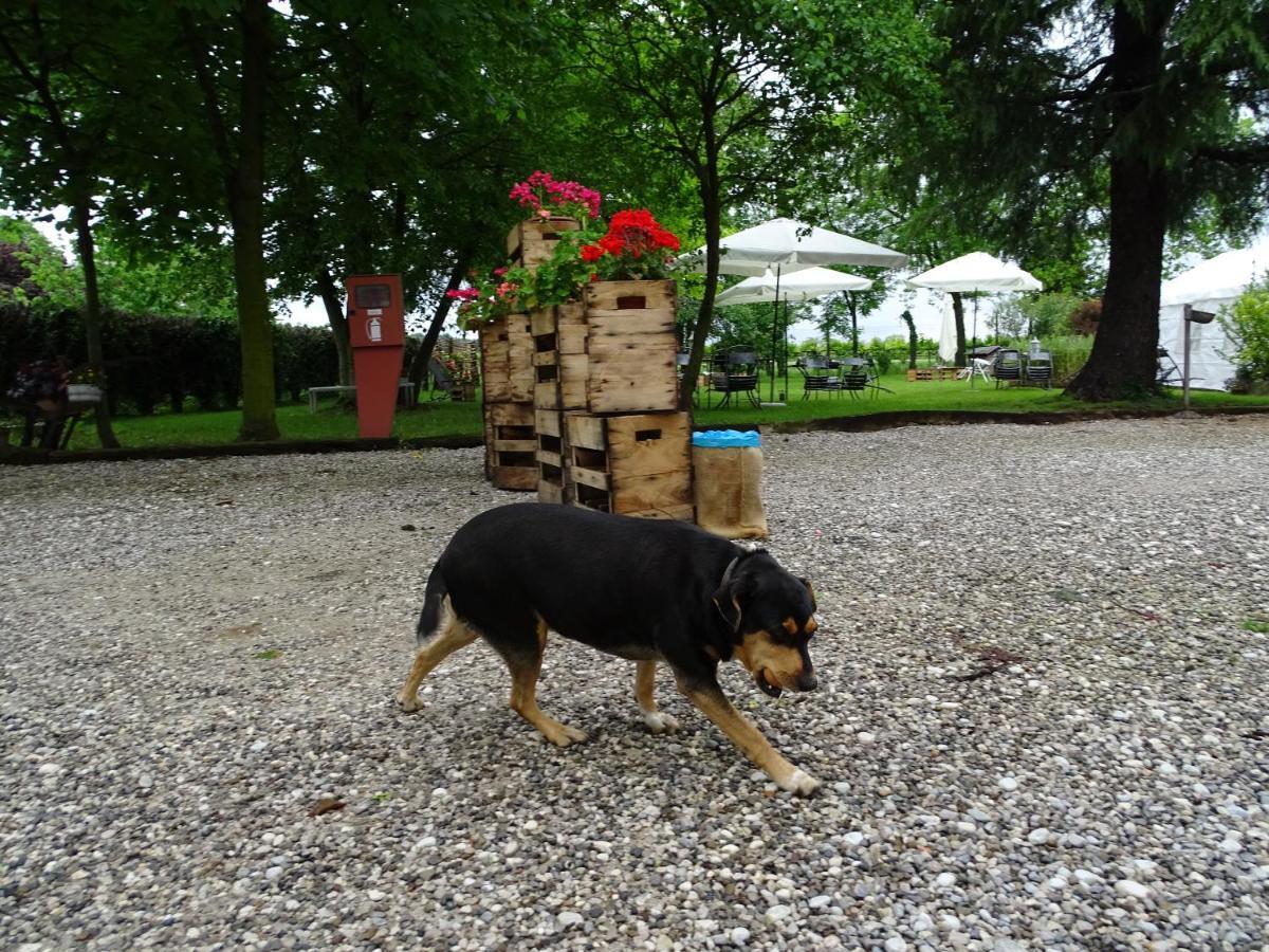 Agriturismo Le Oche Selvatiche Lauzacco Экстерьер фото